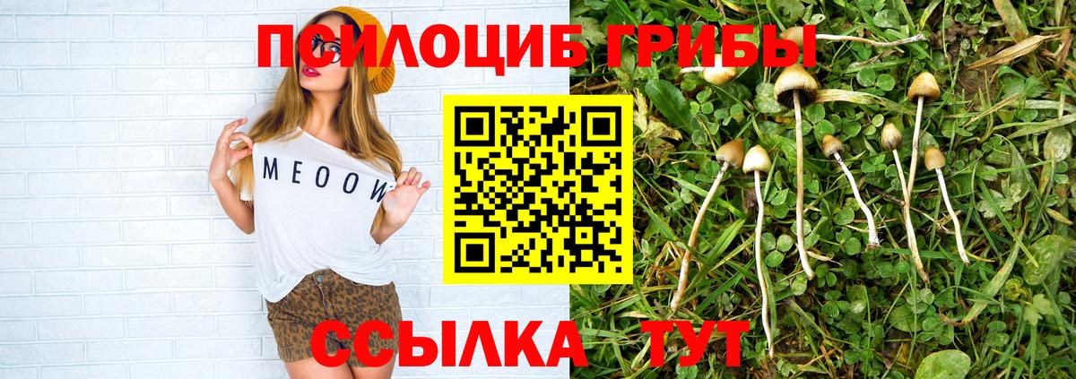 Псилоцибиновые грибы ЛСД Ялуторовск