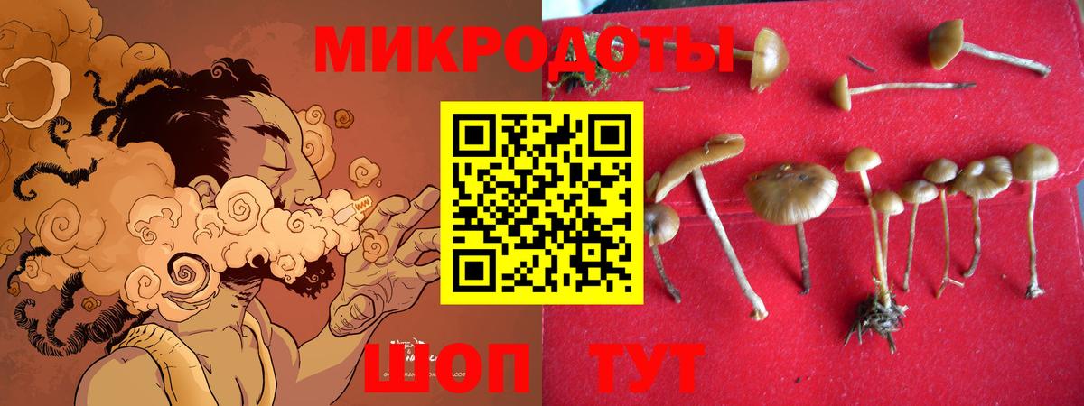 Ялуторовск  Галлюциногенные грибы ЛСД  Вход с VPN  Галлюциногенные грибы Psilocybine cubensis 